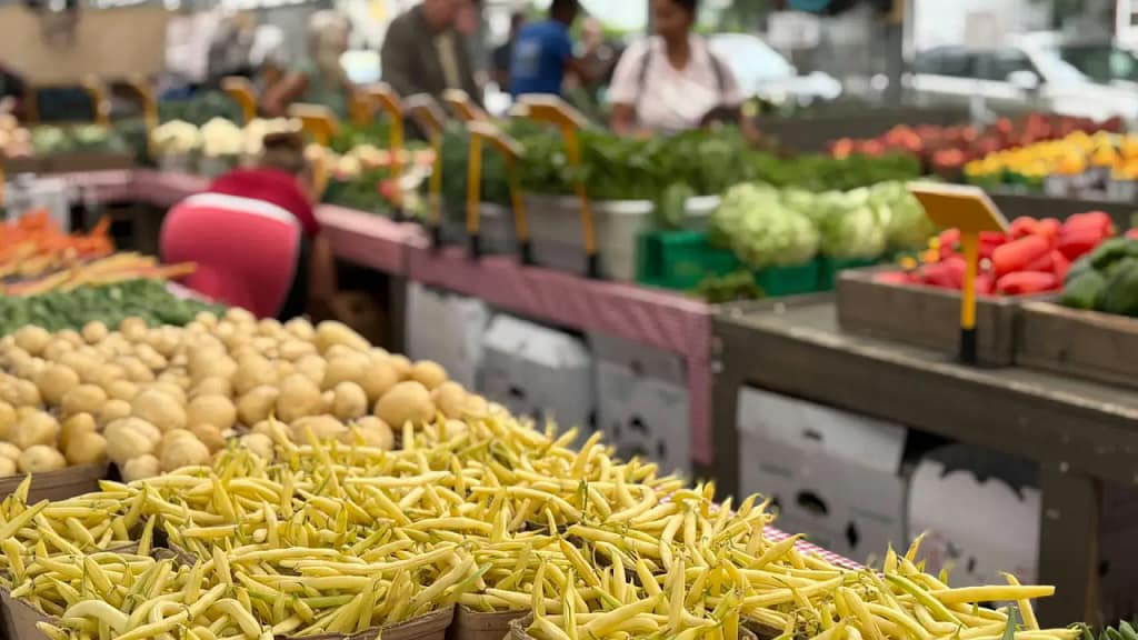 Organic food