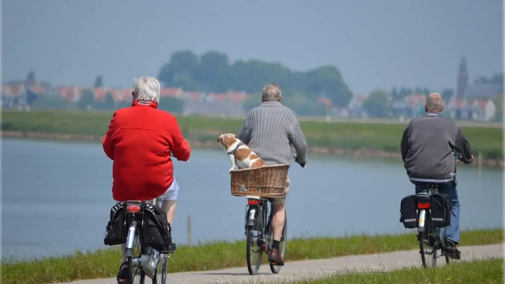 Fitness for Older Adults - elderly people walking
