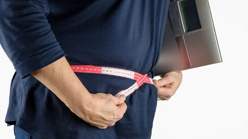 Visceral Fat Reduction Plan