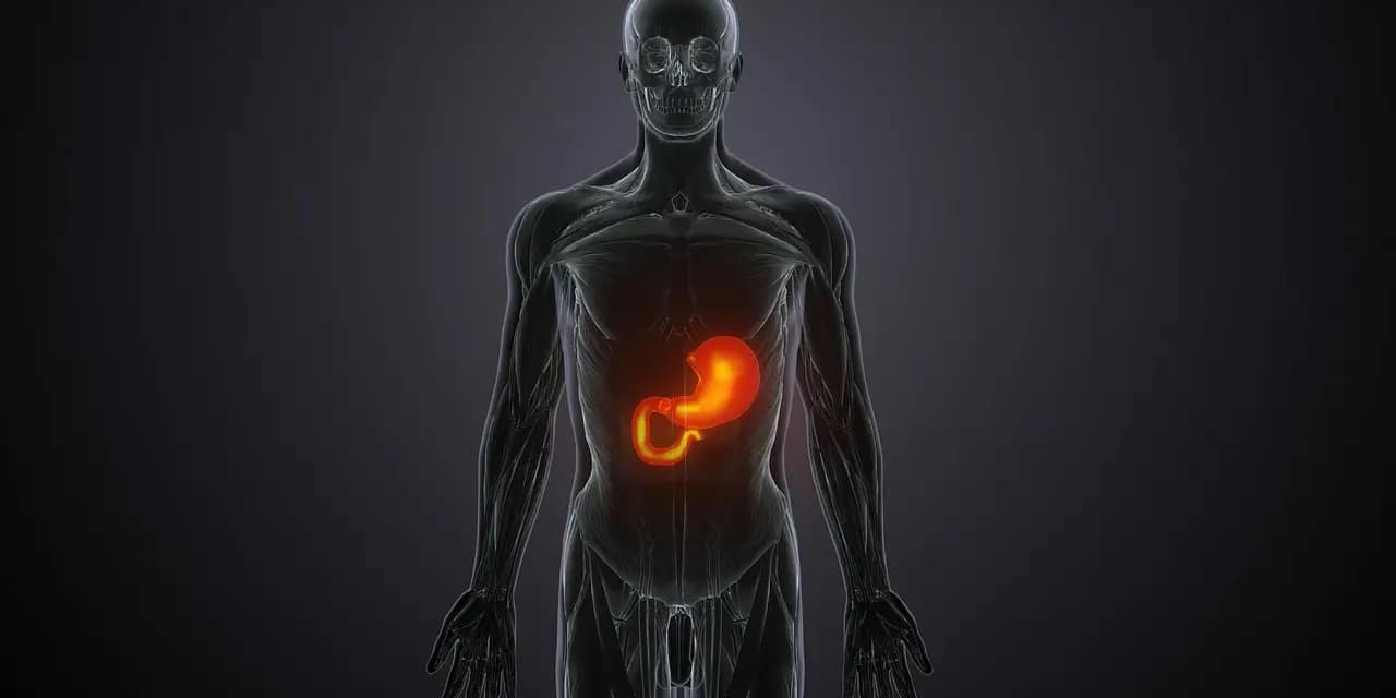 Increase Your Metabolism Lose Weight