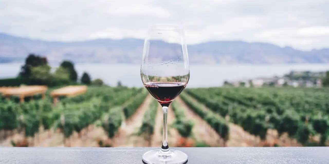 The Benefits of Resveratrol