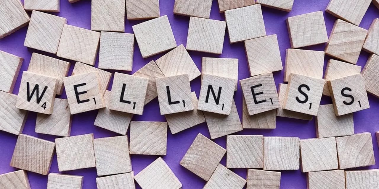 Gut Health and Weight Loss