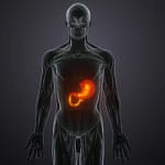 Increase Your Metabolism Lose Weight