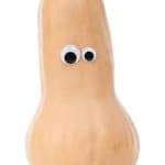 Healthy Curried Butternut Squash Soup