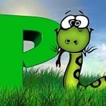 Pilates Reformer Exercises