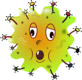 Probiotics And Their Benefits For Our Health