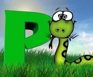 Pilates Reformer Exercises