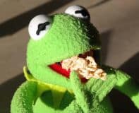 Mini Chocolate Cheesecake Recipe