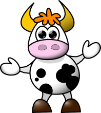 Top Organic Food Choices