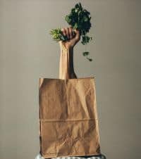 Special Nutritional Needs