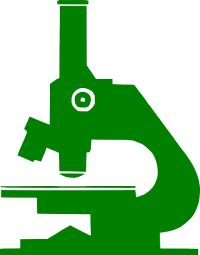 Understanding the Bacteria in Your Body