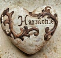 Bacteria in Your Body