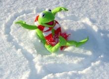 Calorie Burning Ideas Winter