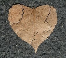 Natural Treatments for Dry Cracked Elbows and Heels