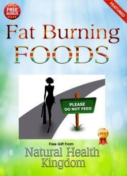 Fat Burning Foods Book Cover