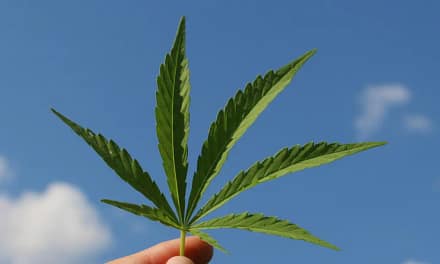 Hemp Oil Excellent Dry Skin Remedy