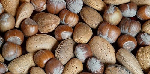 - List of Common Food Allergies -