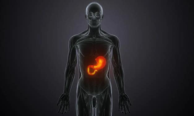 Increase Your Metabolism Lose Weight