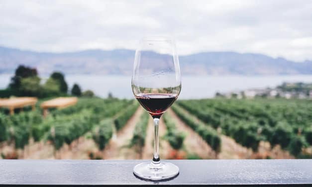 The Benefits of Resveratrol