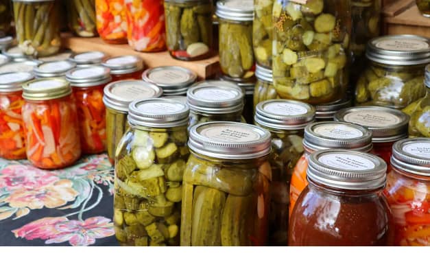 Choosing Probiotic Supplements