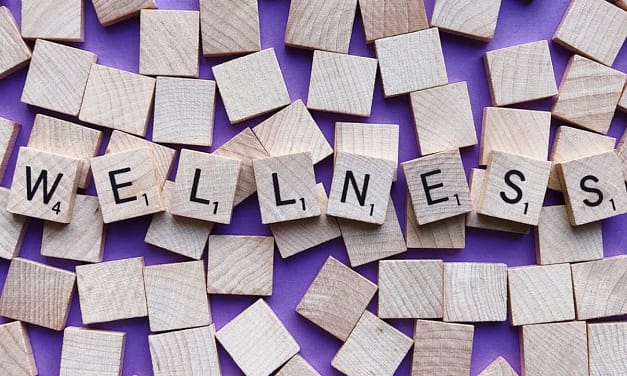 Gut Health and Weight Loss