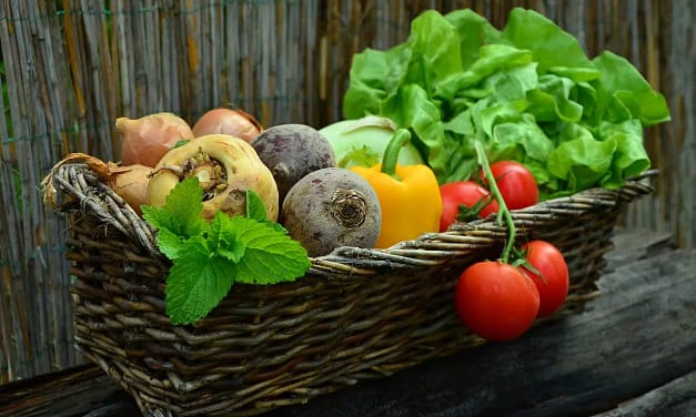 The Benefits of Eating Organic Food