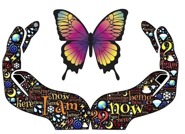 What Is The Appeal Of Meditation