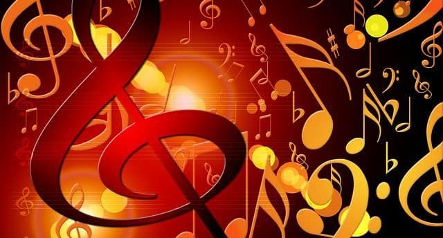 Older Ladies Fight Back