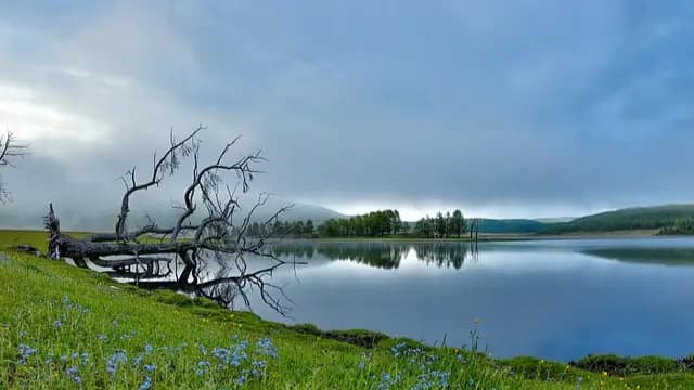 Busy Lifestyle Syndrome Me Time image