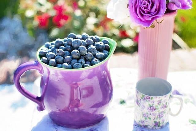 Is Complete Nutrition Important - blueberries
