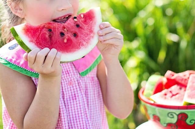 Why Complete Nutrition Is Important - Water Melon