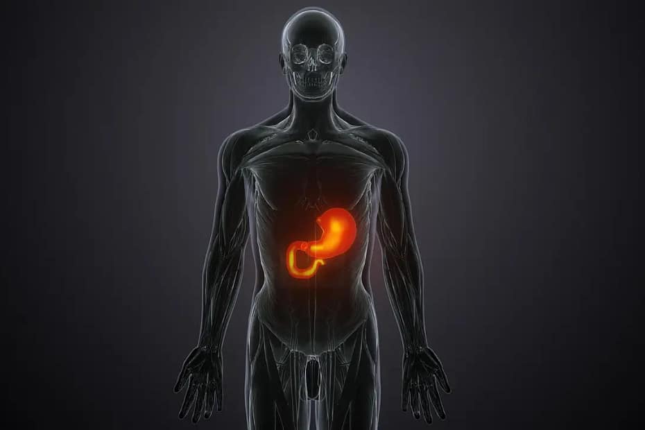 Increase Your Metabolism Lose Weight image