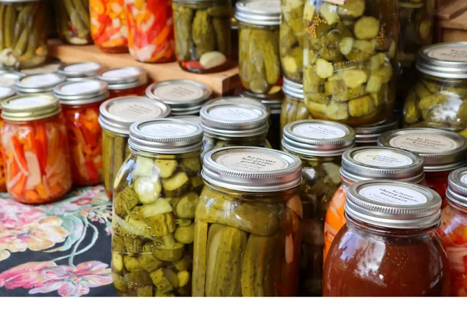 Probiotic foods for health