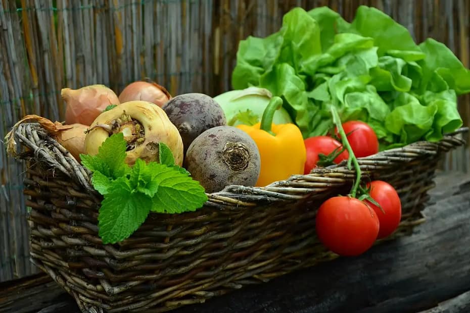 The Benefits of Eating Organic Food Image of Fresh food basket