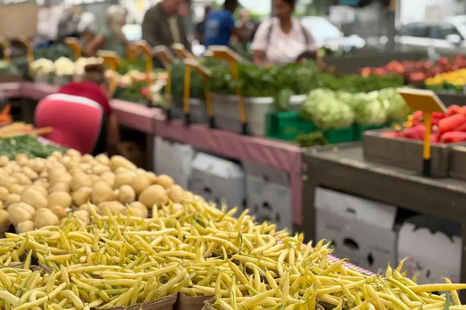 Organic food