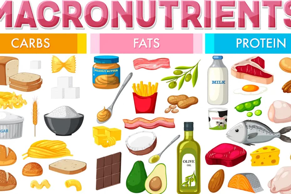 Balanced Diet diagram of macronutrients